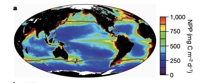 Screen Shot 2019-11-12 at 3.23.43 PM