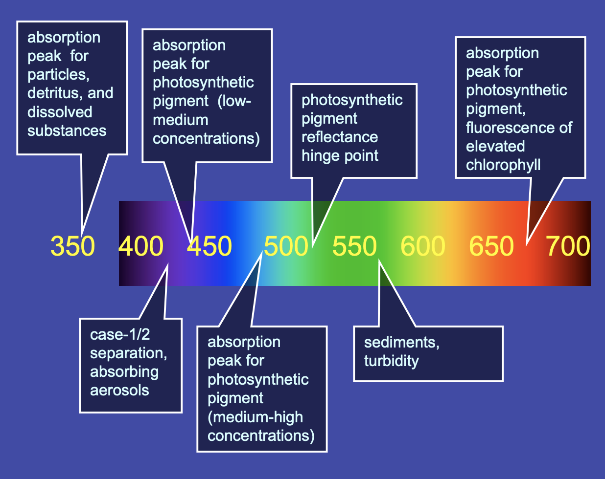 Screen Shot 2019-11-12 at 3.36.20 PM